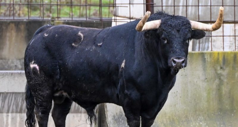 Guerrero y Carpintero y La Campana, este sábado en Torres de la Alameda