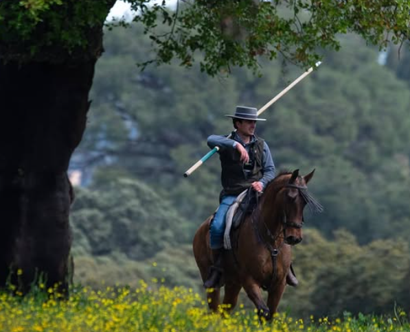 El mayoral: una figura clave con un papel a medio conocer