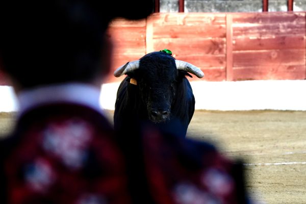 Dos hierros madrileños auguran un fin de semana importante en la Chenel
