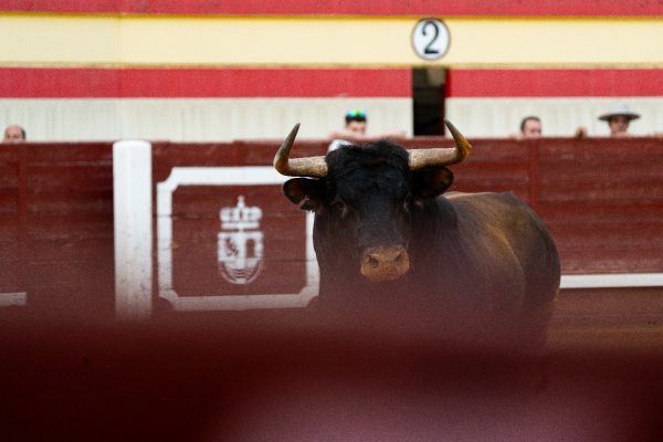 Cuatro hierros madrileños este sábado en Valdilecha