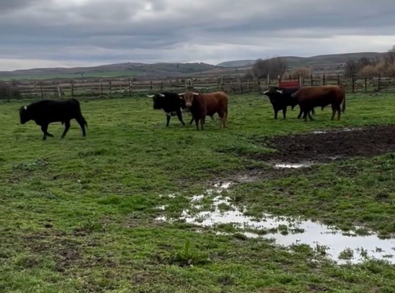 La lluvia, un problema añadido que debería ser un respiro
