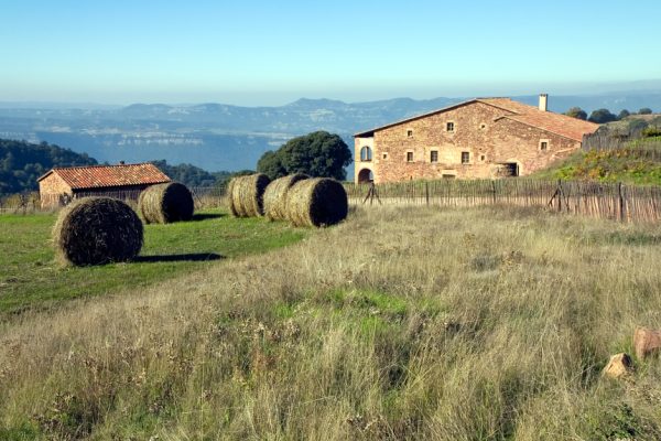 La compraventa de fincas rústicas crecerá un 31,2% esta década