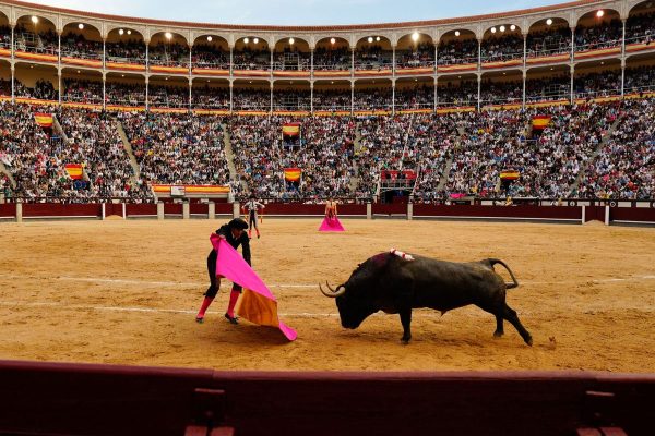 Seis hierros madrileños en la novillada de picada del 4 de mayo en Las Ventas