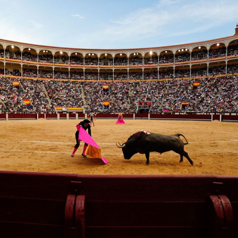 Seis hierros madrileños en la novillada de picada del 4 de mayo en Las Ventas