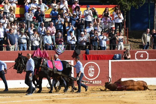 Cara y cruz de «Duende», de Monte la Ermita, en Alalpardo