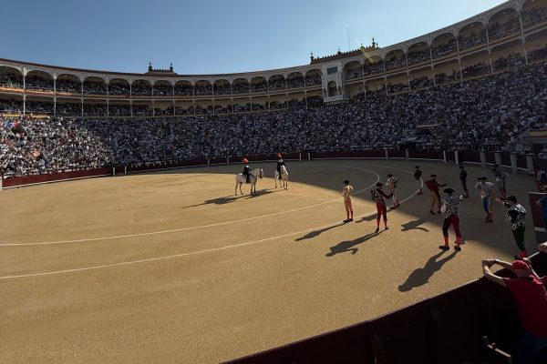Tres ganaderías madrileñas abren septiembre en Las Ventas