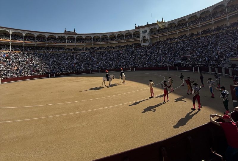 Tres ganaderías madrileñas abren septiembre en Las Ventas