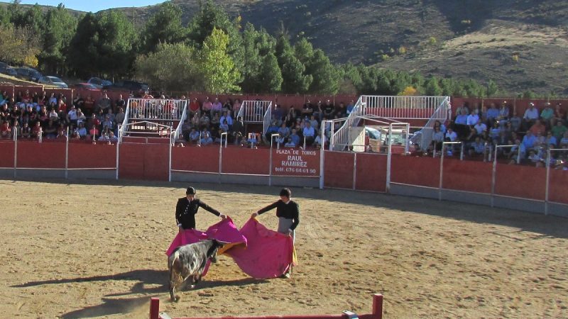 El Álamo cierra su temporada con un festival en Canencia
