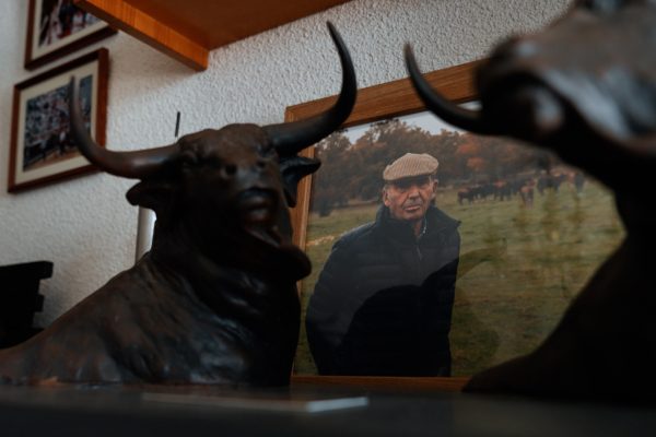 Montealto vuelve hoy a Albacete en la segunda de feria