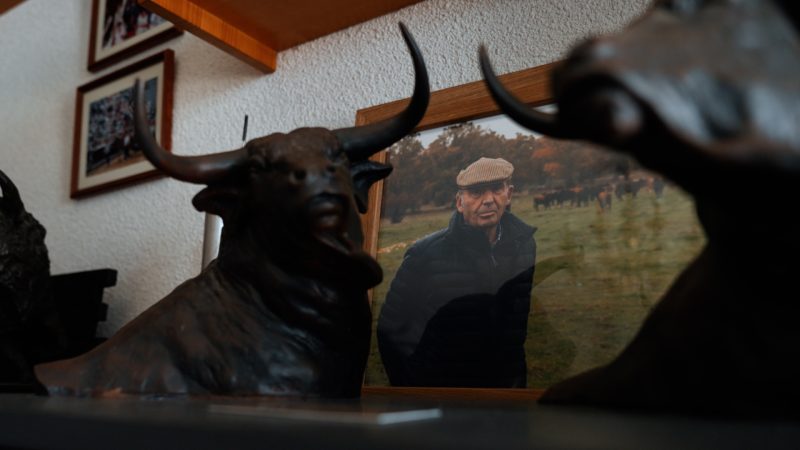 Montealto vuelve hoy a Albacete en la segunda de feria