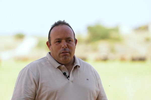 Concha y Sierra vuelve este domingo a Madrid y Hernández-Pla refresca con La Quinta