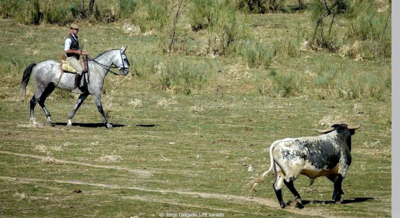 Vive en primera persona lo que el campo bravo representa