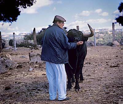 El toro que dejó en pena a Antoñete y por el que disolvió la ganadería