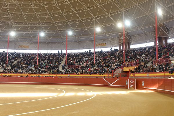 Valdemorillo acoge un tentadero público para acercar a los jóvenes a las labores ganaderas