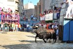 El toro en la calle, un bien preciado cada vez más cotizado