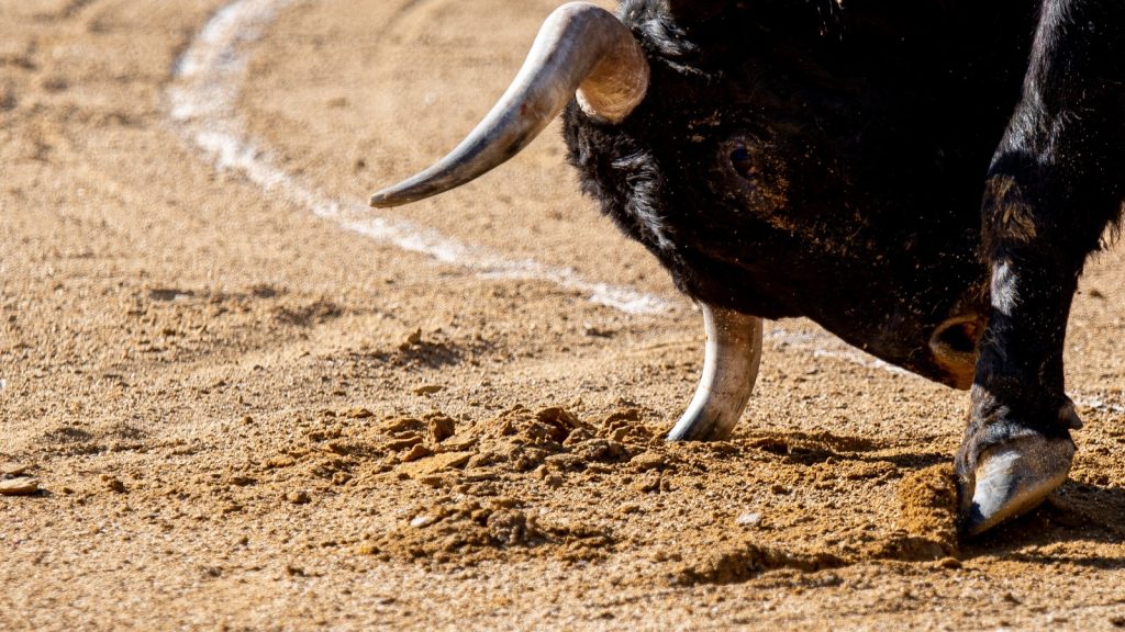 Seis ganaderías madrileñas en el cartel de la novillada de la Feria de la Comunidad