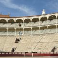 El campo madrileño se cita cuatro tardes con la plaza de toros de Las Ventas
