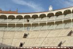 El campo madrileño se cita cuatro tardes con la plaza de toros de Las Ventas
