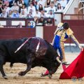 «Cantaor», de Victoriano del Río, mejor toro de San Isidro 2026