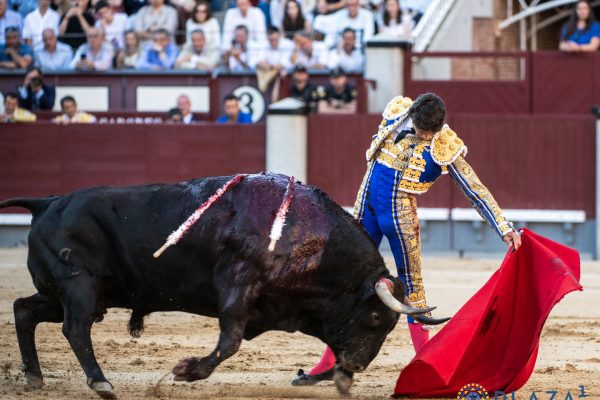 «Cantaor», de Victoriano del Río, mejor toro de San Isidro 2026