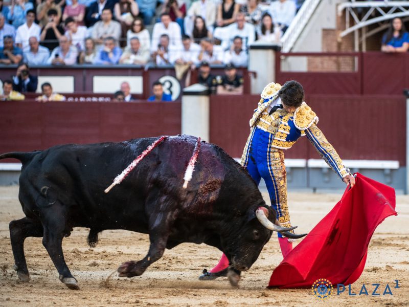 «Cantaor», de Victoriano del Río, mejor toro de San Isidro 2026