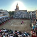 La Vid de Oro de Arganda cuenta con 3 ganaderías madrileñas