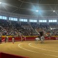 Monte la Ermita lidiará la segunda corrida de la Feria de Navalcarnero