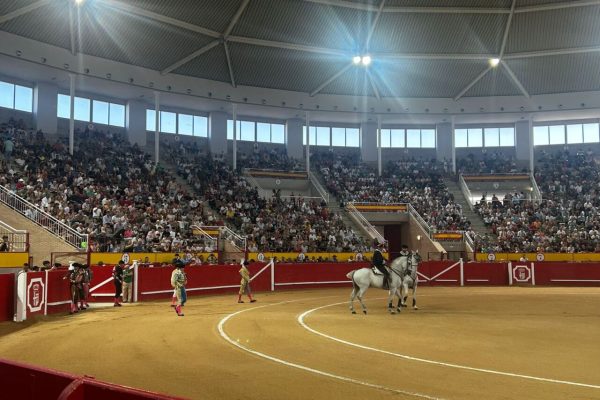 Monte la Ermita lidiará la segunda corrida de la Feria de Navalcarnero