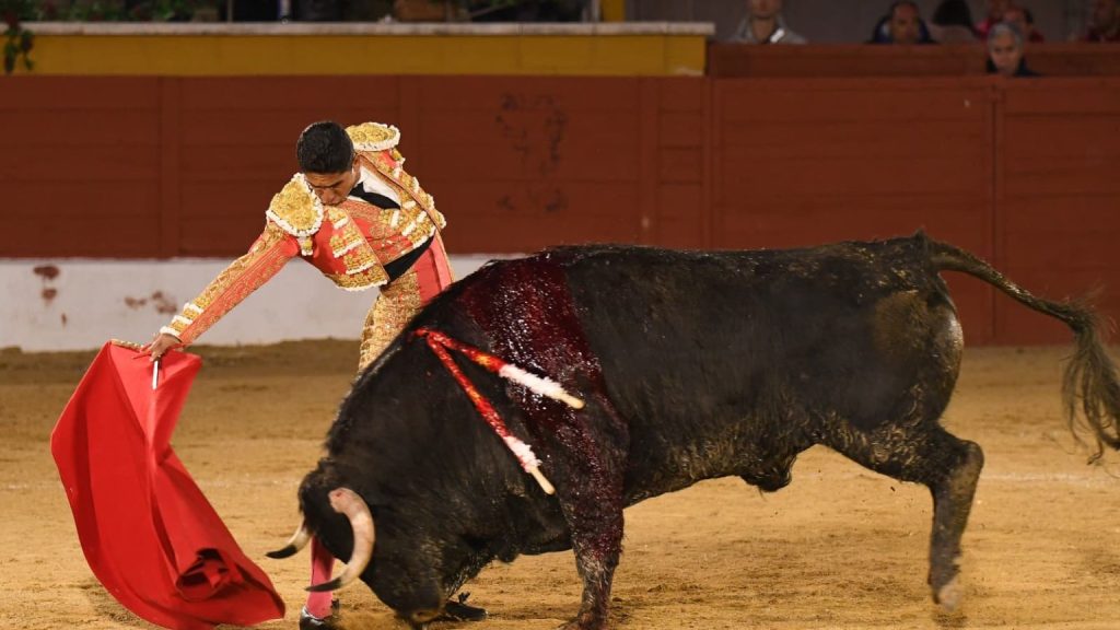 «Fiero», de novillo a toro por una situación excepcional