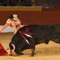 «Fiero», de novillo a toro por una situación excepcional