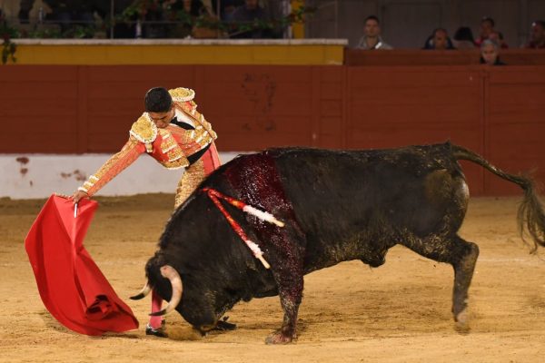 «Fiero», de novillo a toro por una situación excepcional