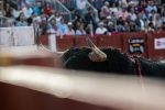 Las diez ganaderías madrileñas que más han lidiado en 2026