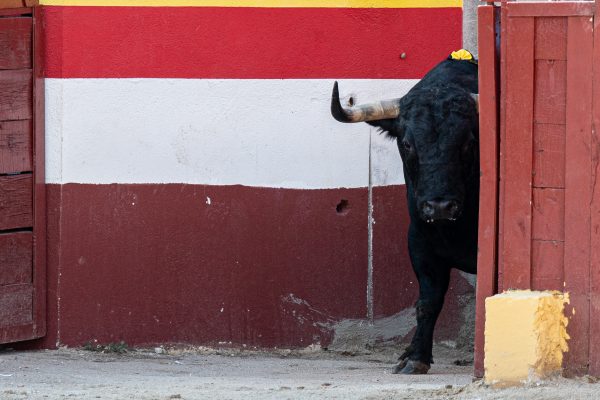 Los últimos compromisos de las ganaderías madrileñas