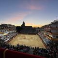 El novillo más bravo y la mejor novillada de la Vid de Oro 2026 se quedan en Madrid