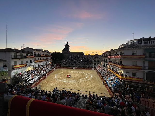 El novillo más bravo y la mejor novillada de la Vid de Oro 2026 se quedan en Madrid