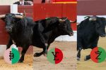 Tres toros madrileños de vuelta al ruedo en la Copa Chenel 2026
